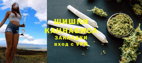 бошки Алексин