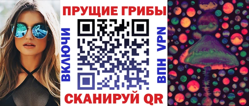 купить   Котлас  shop наркотические препараты  Галлюциногенные грибы мицелий 